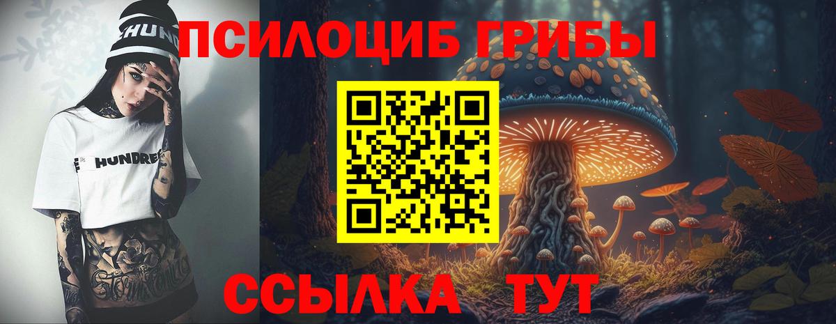 Галлюциногенные грибы MAGIC MUSHROOMS Сальск